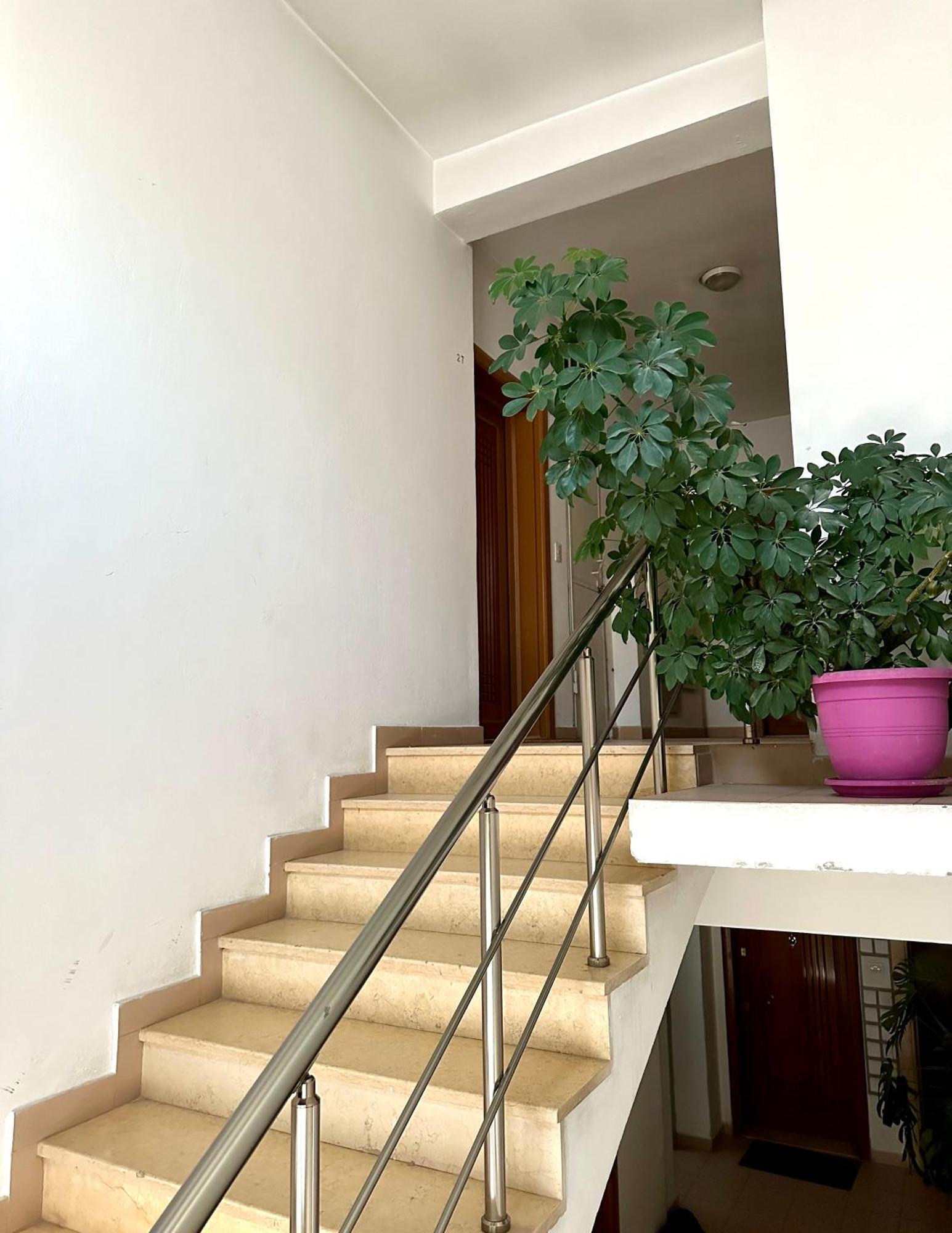 Skyview Oasis Premium Apartment Тирана Экстерьер фото